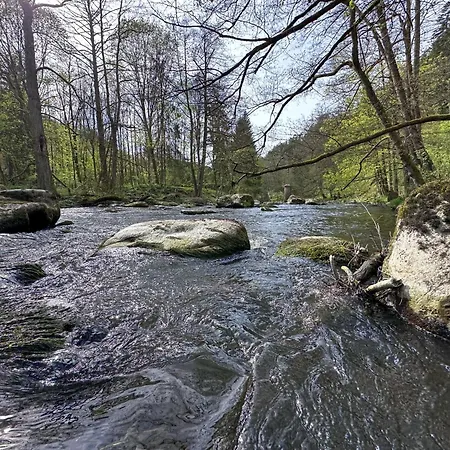Bliss Am Seeufer, * Neunburg vorm Wald