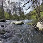 Bliss Am Seeufer, * Нойнбург-форм-Вальд