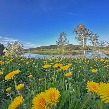 Seeblick - Premium Tinyhouse Mit Sauna Und Hottub Neunburg vorm Wald